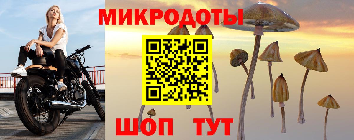 Галлюциногенные грибы Psilocybine cubensis Сорочинск